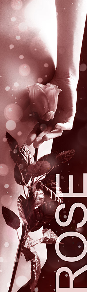 Honorar Status Rose - Escort Wiesbaden Honorar Status Rose - Escort Wiesbaden